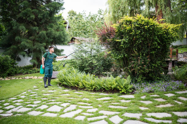 Reliable Blandon, PA Pest Control Solutions